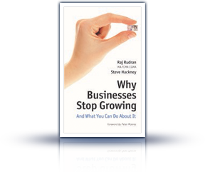 Why Businesses stop growing
